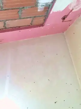 Spring_light1  live sex cam