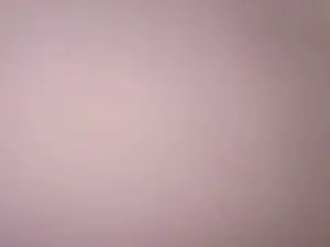 Sugar86  live sex cam