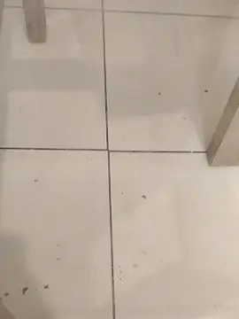 Maquenrro2  live sex cam