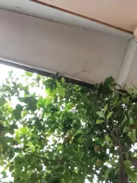 Nymbly  live sex cam