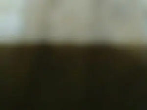 Vandidadelbien  live sex cam