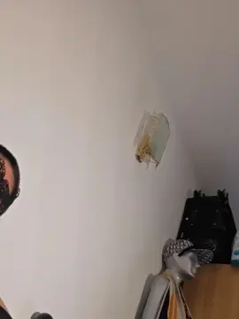 PaulaHawinks  live sex cam
