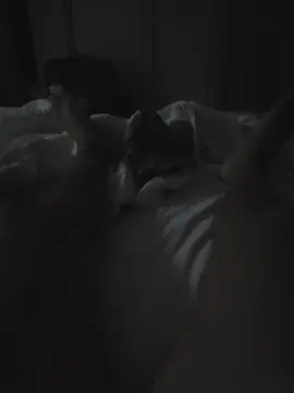 Falena1  live sex cam