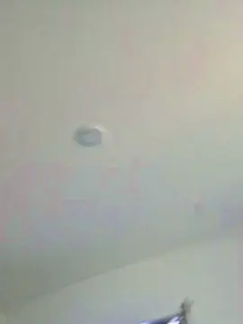 PabsnMegs  live sex cam