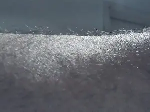 Gaucinhasafada  live sex cam