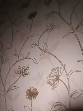 Aldica  live sex cam