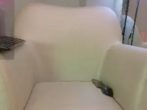 Nahomyrain  live sex cam