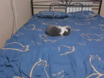 Eva_zero  live sex cam