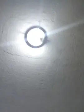 Jenihotsex  live sex cam
