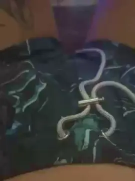 Yiyafox  live sex cam