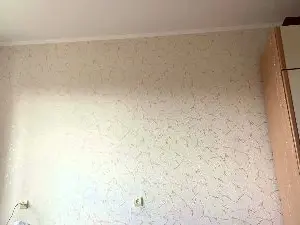 CarolinaToo  live sex cam