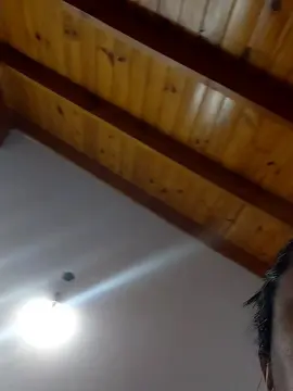 Julijaimev2  live sex cam