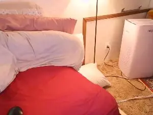XxpixeyxX  live sex cam