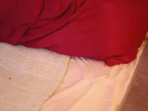 XxpixeyxX  live sex cam