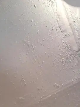 KaashKow  live sex cam