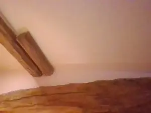 Zelda251  live sex cam