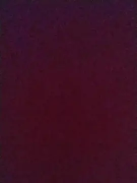 Gata025  live sex cam
