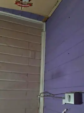 Zorrita1  live sex cam