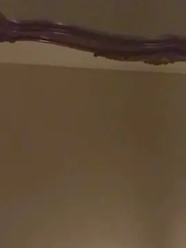 TrapLove69  live sex cam