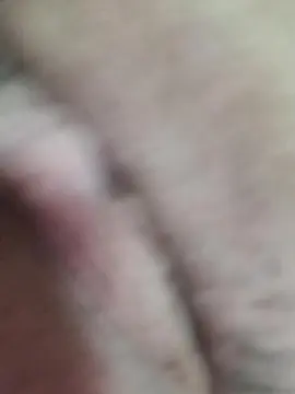 Ameliehot1  live sex cam