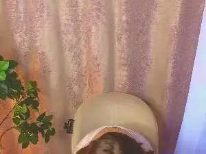YunHeiner  live sex cam