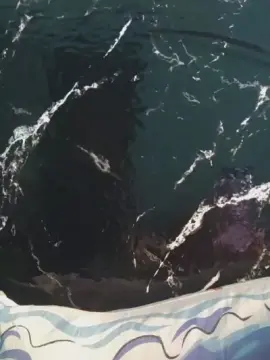 Dlicinharss  live sex cam