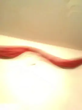 Kissmykitty79  live sex cam
