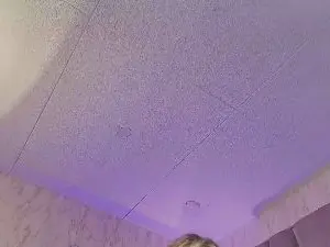 Lya_nekko  live sex cam