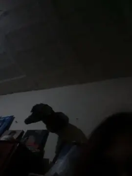 Deysi8  live sex cam
