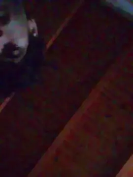 Kittydemon22  live sex cam