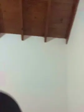 BrattyYani  live sex cam