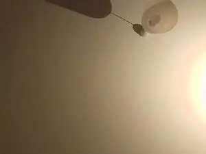 La_lady_divina  live sex cam