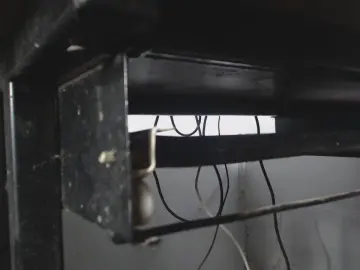 Dara_bravo  live sex cam