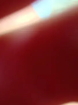 Dakotabloomm  live sex cam