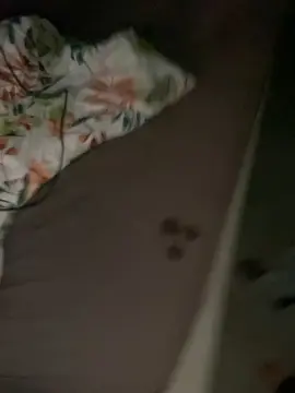 Sacrecoquine  live sex cam