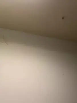 PeanutCookie  live sex cam