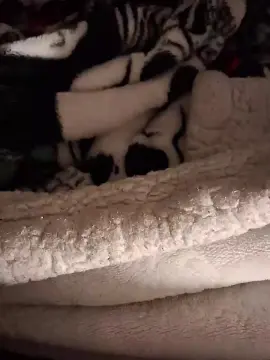 Desimar  live sex cam