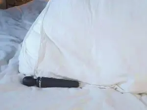 AlyceLelacheur  live sex cam