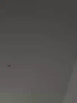 Maitressealys  live sex cam