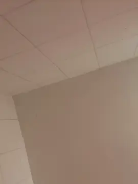 Nicecurvybodii  live sex cam