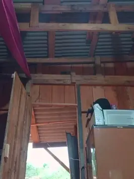 Kafuracao6  live sex cam