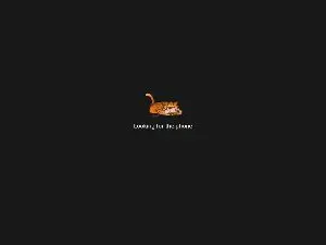 Hoelygrail  live sex cam