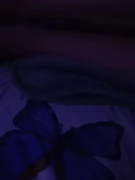 Ksaltop2  live sex cam