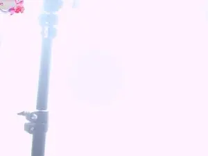 Amanda_Viloria  live sex cam