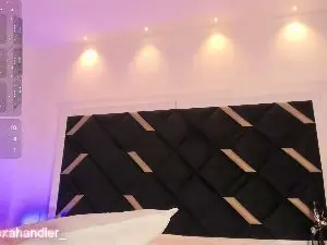 AlexaHandler  live sex cam