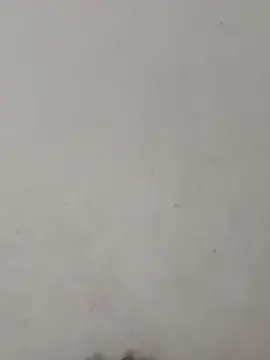 Gordita3  live sex cam