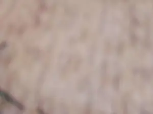 JoieMeiggs  live sex cam