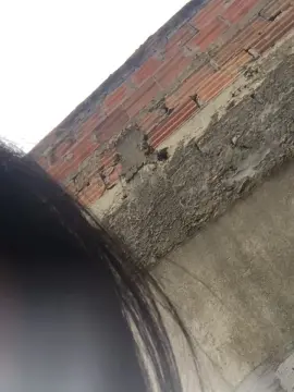 Angelblue21  live sex cam