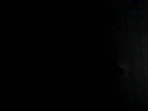 Mulatabombom00  live sex cam