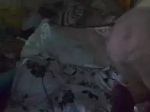 EXOTICBRATz8  live sex cam